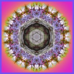 kreislauf ohne ende - 60x60 cm (mandala 2k)