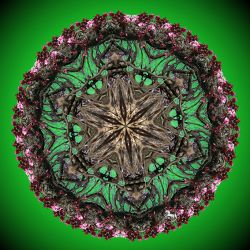 way out of the big jungle - 60x60cm (nr 2014023b)