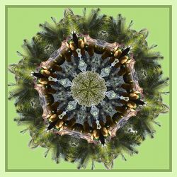 protecting mother earth - 70x70cm (nr 2014022a)