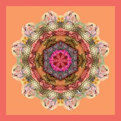 loverstalk - 50x50cm (nr 2014014)