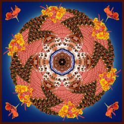 zzzzz's in da house - 60x60cm (mandala 27dr)