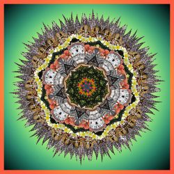 please start to use your brain - 66x66cm (nr 2014026b)